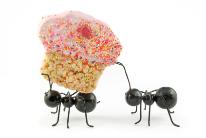 Ants-Carrying-Cupcake.jpg
