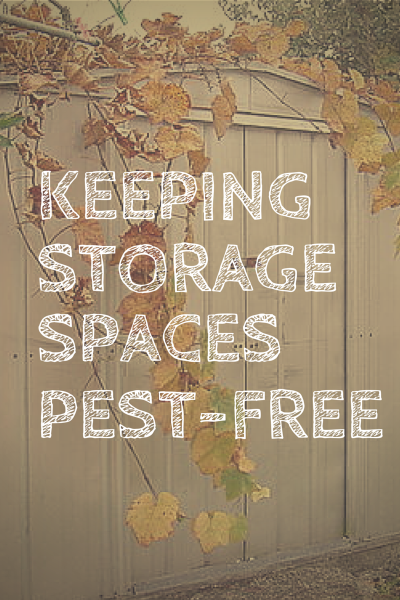 Keeping-Storage-Spaces-Pest-Free.png