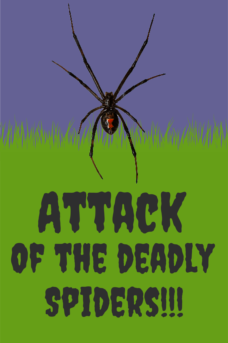 Scary-Spiders.png