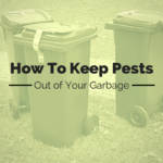 Keep-Pests-Out-of-Garbage.png