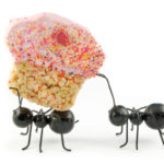 Ants-Carrying-Cupcake.jpg