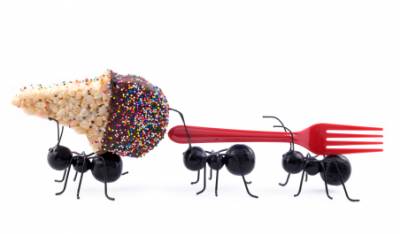 b2ap3_thumbnail_Ants-Carrying-Ice-Cream-Cone.jpg